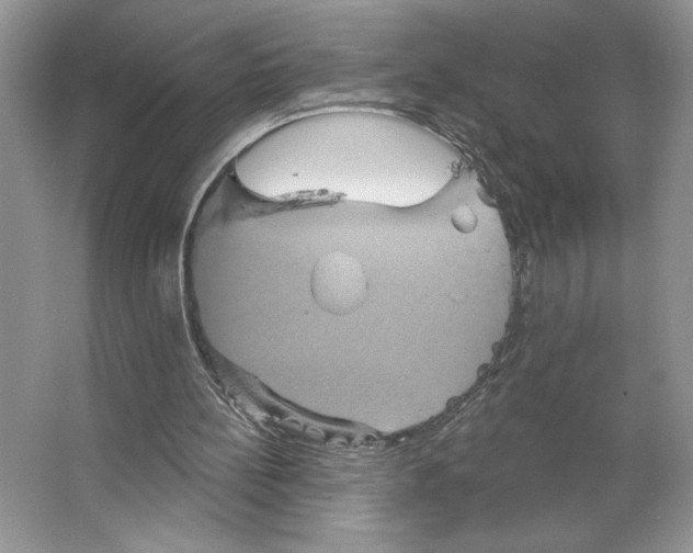 X0000066120148200603311544