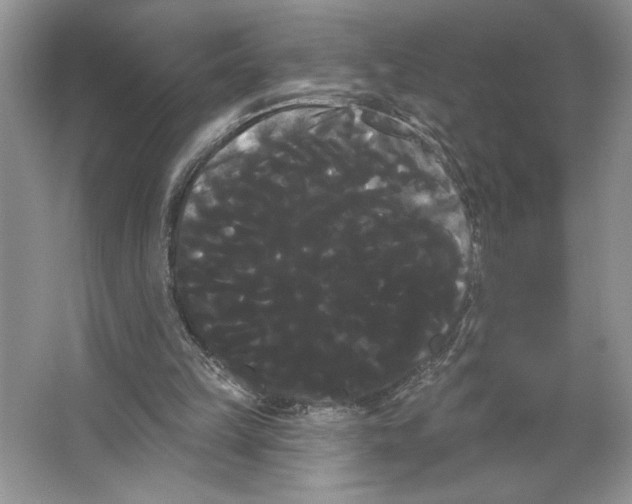 X0000066120149200603311544