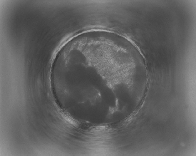 X0000066120151200603311545