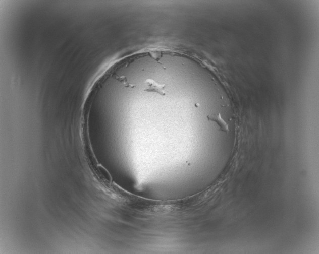 X0000066120152200603311545