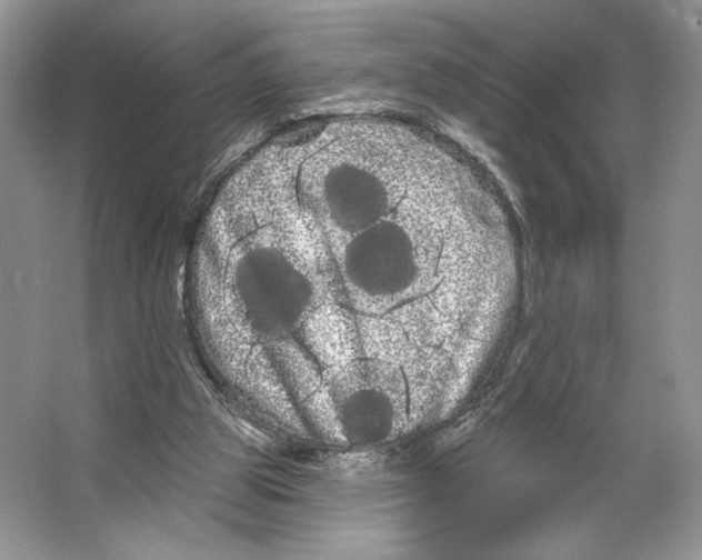 X0000066120153200603311545