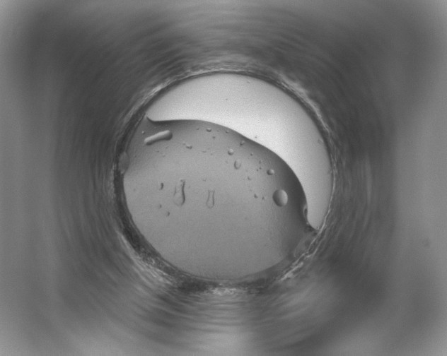 X0000066120154200603311545