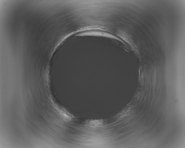 X0000066120156200603311545