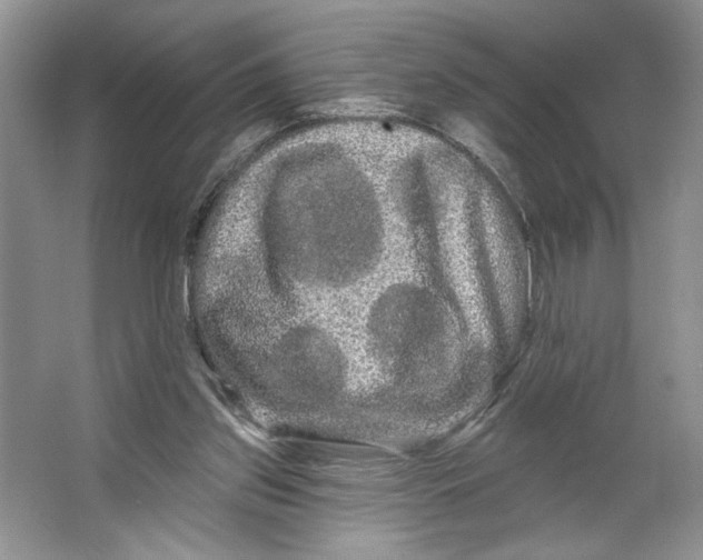 X0000066120157200603311545