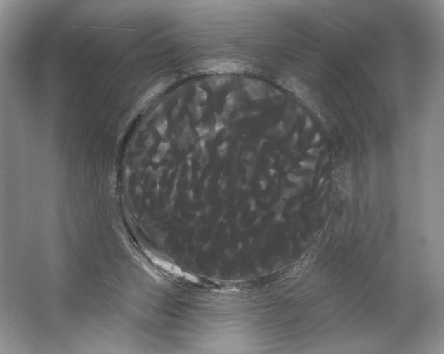 X0000066120159200603311545