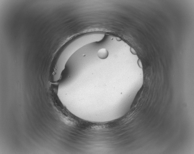 X0000066120160200603311545