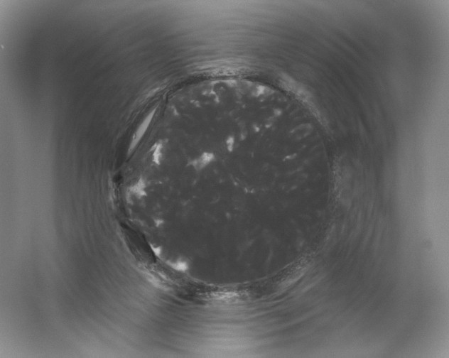 X0000066120161200603311545