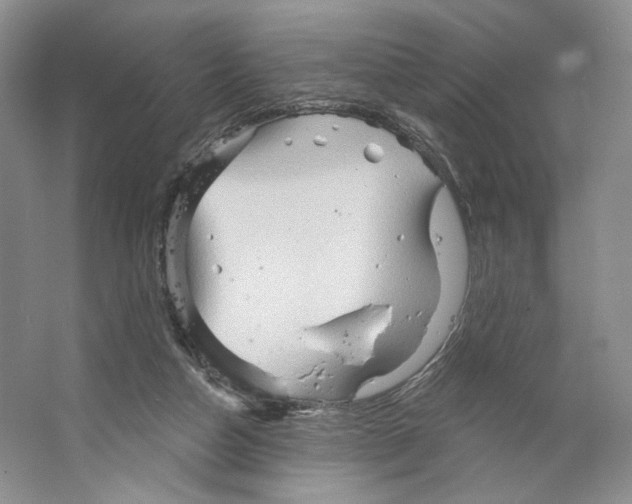 X0000066120162200603311545