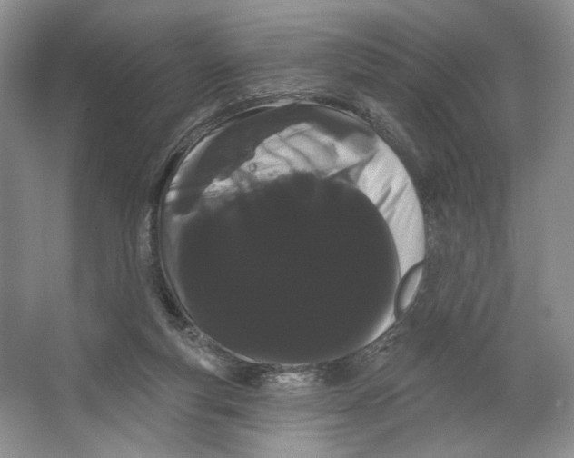 X0000066120163200603311545