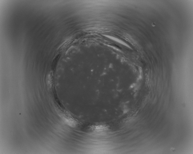 X0000066120165200603311545