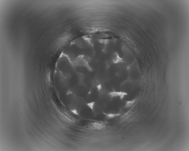 X0000066120166200603311545