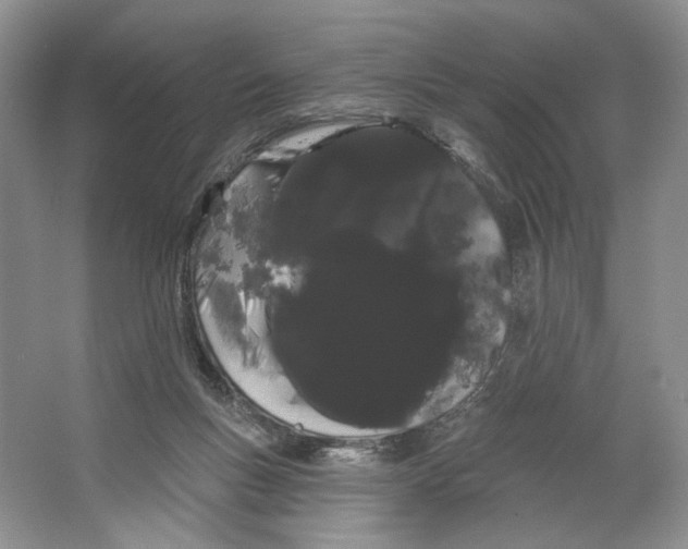 X0000066120167200603311545