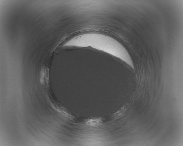 X0000066120168200603311545