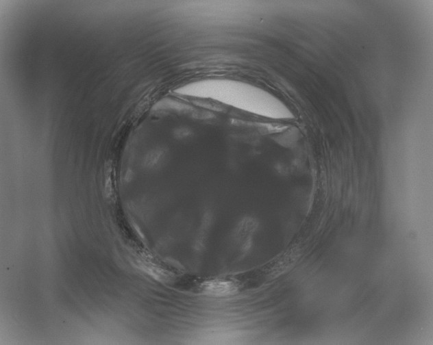 X0000066120169200603311545