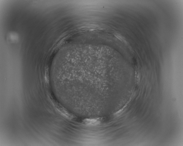 X0000066120170200603311545