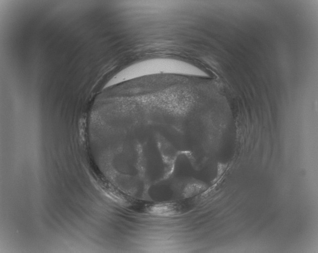 X0000066120171200603311545