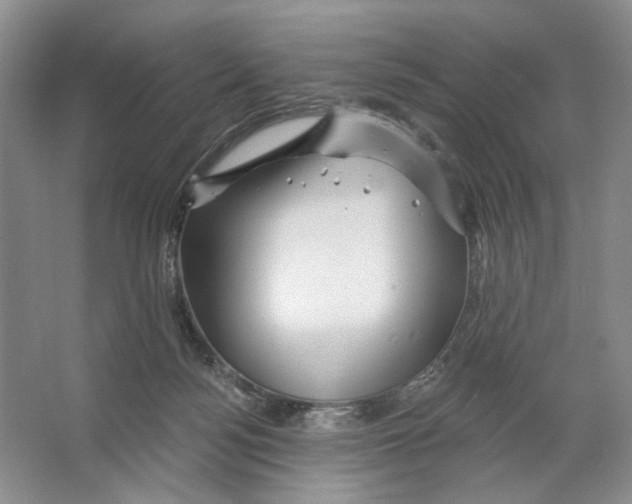 X0000066120172200603311545