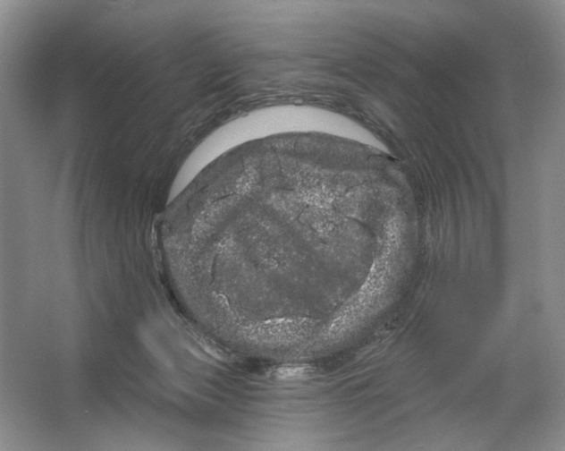 X0000066120173200603311545