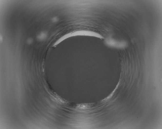 X0000066120174200603311545