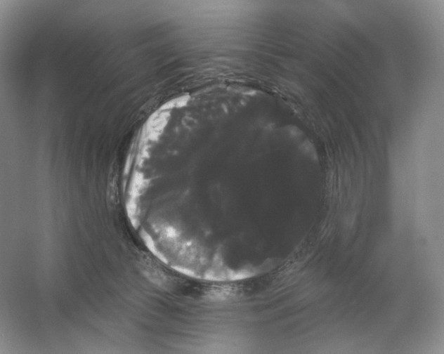 X0000066120177200603311545