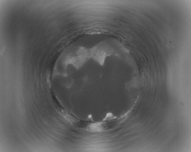 X0000066120178200603311545