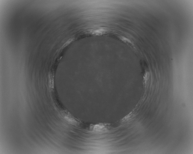 X0000066120180200603311545