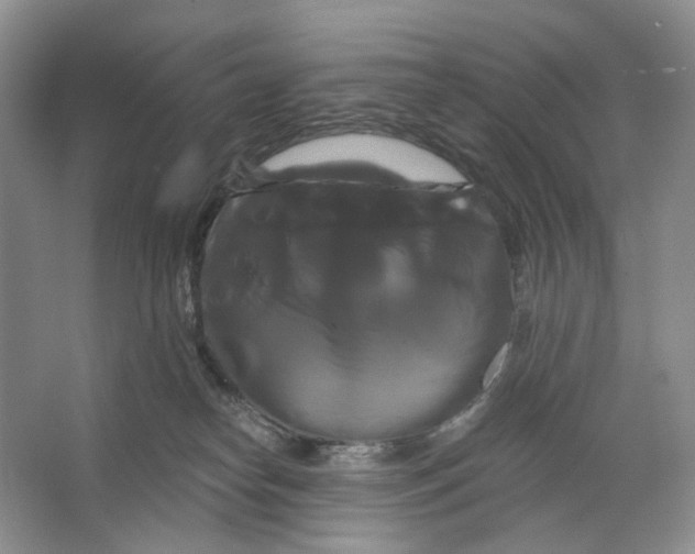 X0000066120182200603311545