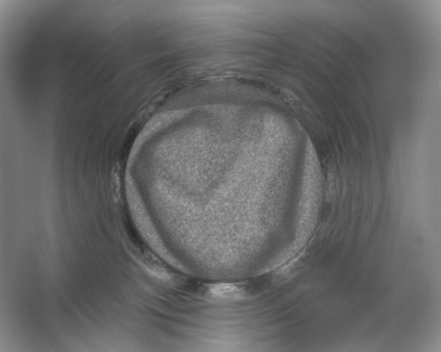 X0000066120183200603311545