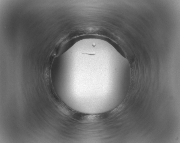 X0000066120184200603311545