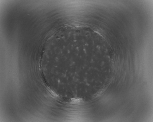 X0000066120185200603311545