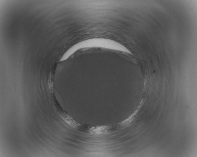 X0000066120186200603311545