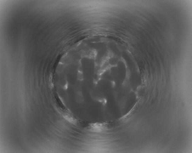 X0000066120187200603311545