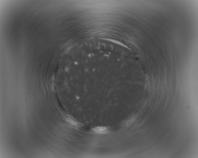 X0000066120189200603311545