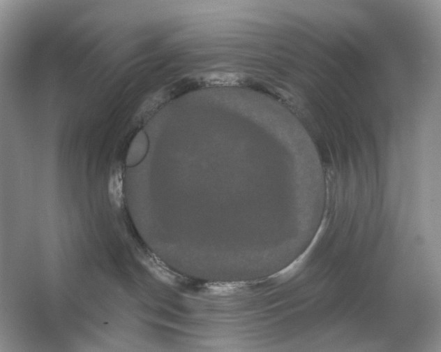 X0000066120190200603311545