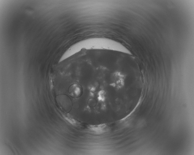 X0000066120191200603311545