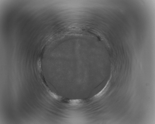 X0000066120192200603311545