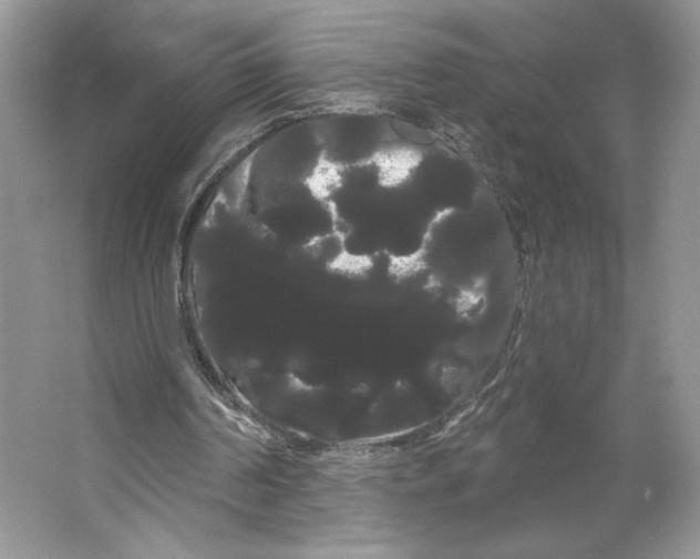 X0000066120194200603311544