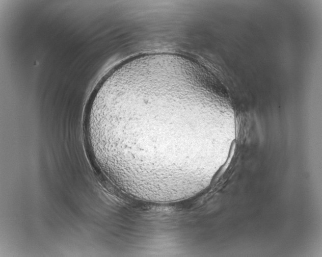 X0000066120195200603311544