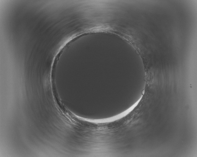 X0000066120196200603311544