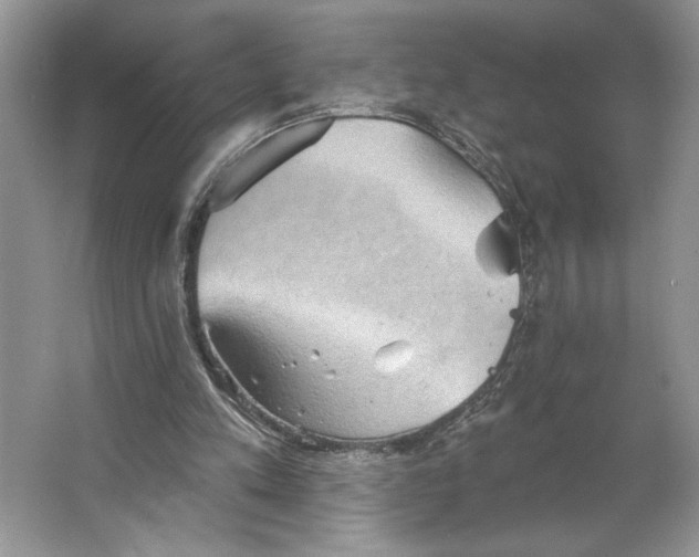 X0000066120197200603311544