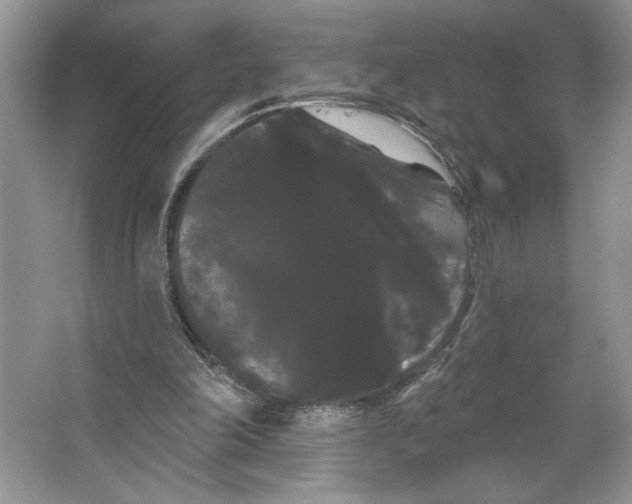 X0000066120198200603311544