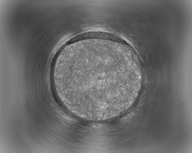 X0000066120199200603311544