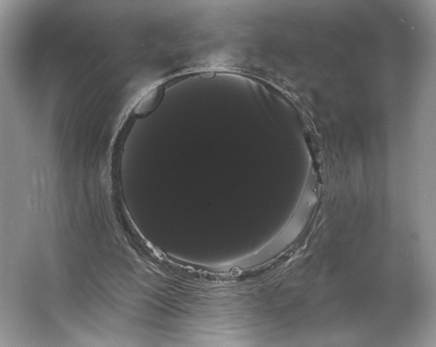 X0000066120200200603311544