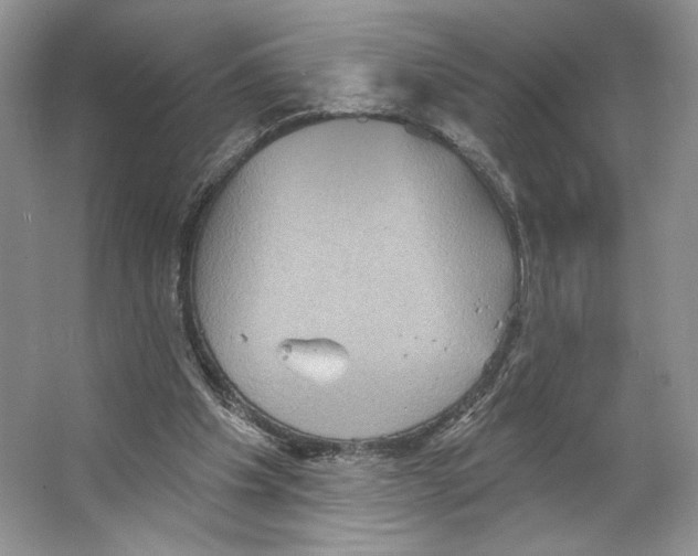 X0000066120201200603311544