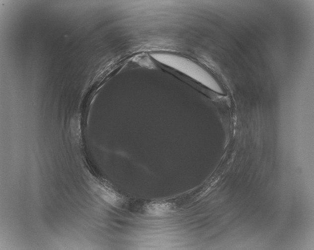 X0000066120202200603311544