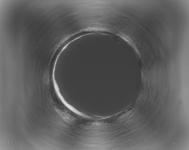 X0000066120204200603311544