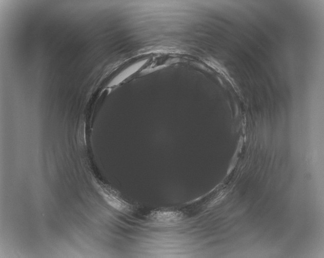 X0000066120205200603311544