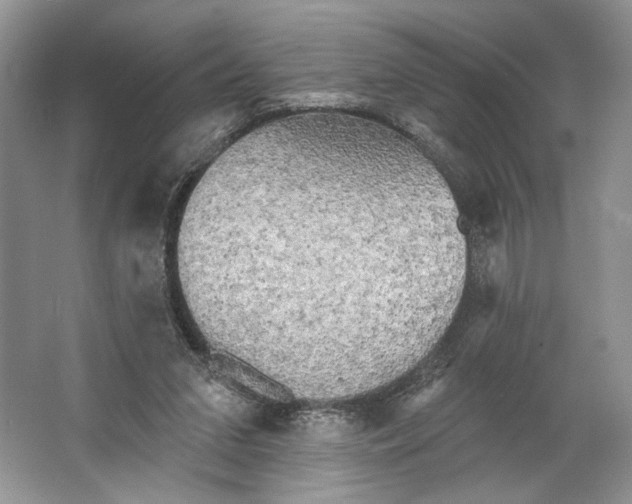 X0000066120207200603311544