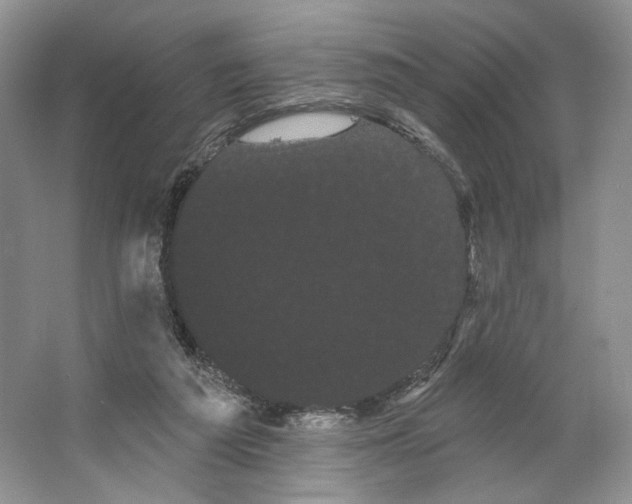 X0000066120209200603311544