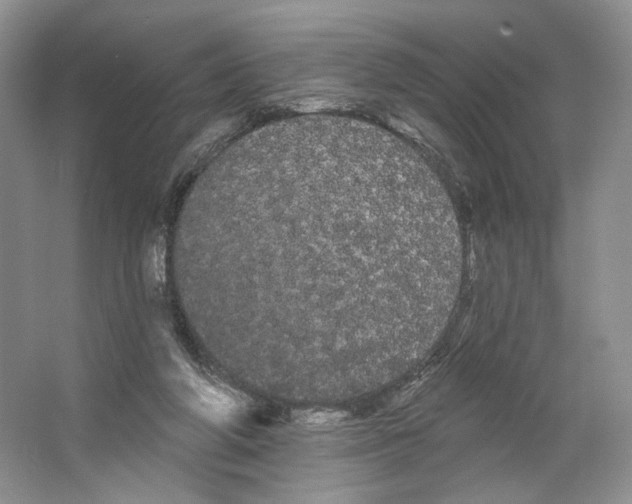 X0000066120210200603311544